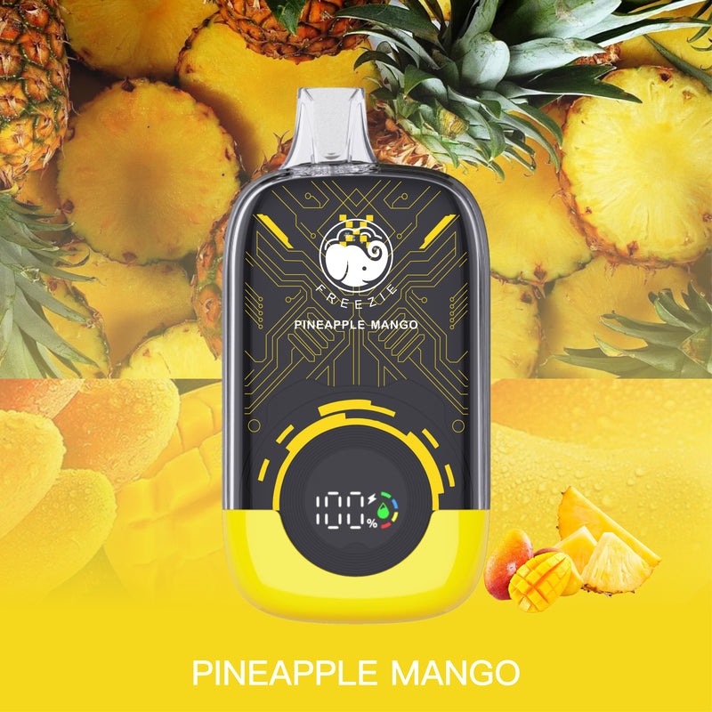 Pineapple Mango Disposable Vape – 15000 Puffs