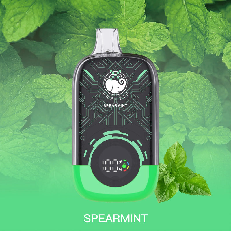 Spearmint Disposable Vape - 15000 Puffs